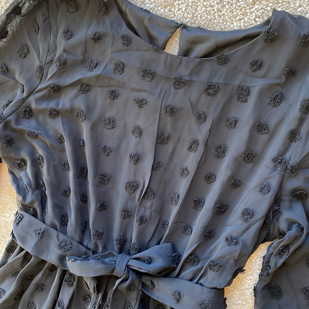 LARGE NWT! Long Sleeves Round Neck  Swiss Dot High Waist Chiffon Casual … - Picture 4 of 13